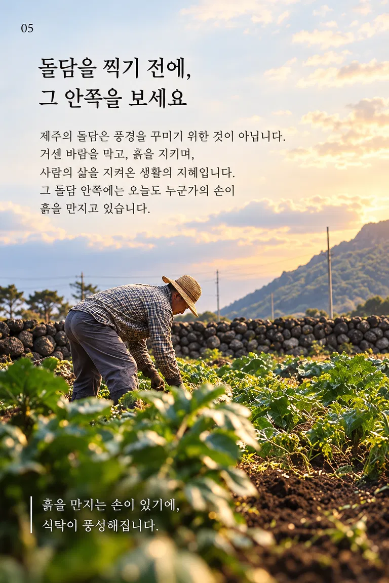 돌담을 찍기 전에, 그 안쪽을 보세요 제주의 돌담은 풍경을 꾸미기 위한 것이 아닙니다. 거센 바람을 막고, 흙을 지키며, 사람의 삶을 지켜온 생활의 지혜입니다. 그 돌담 안쪽에는 오늘도 누군가의 손이 흙을 만지고 있습니다. 흙을 만지는 손이 있기에, 식탁이 풍성해집니다.
