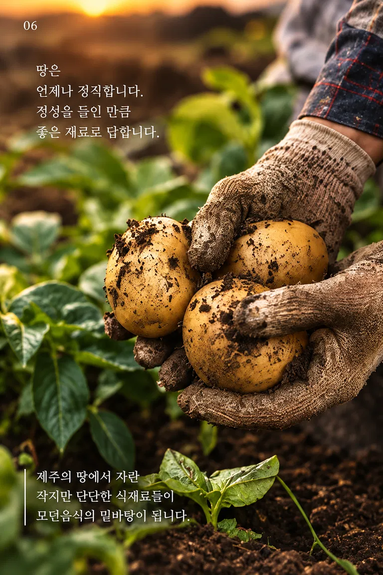 땅은 언제나 정직합니다. 정성을 들인 만큼 좋은 재료로 답합니다. 제주의 땅에서 자란 작지만 단단한 식재료들이 모던음식의 밑바탕이 됩니다.